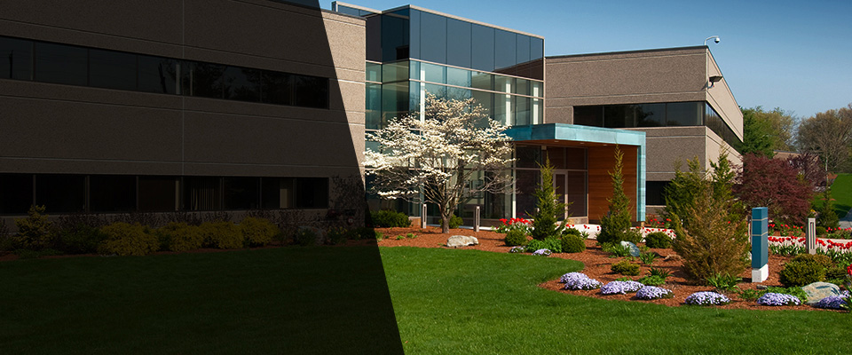 Portsmouth Landscapers