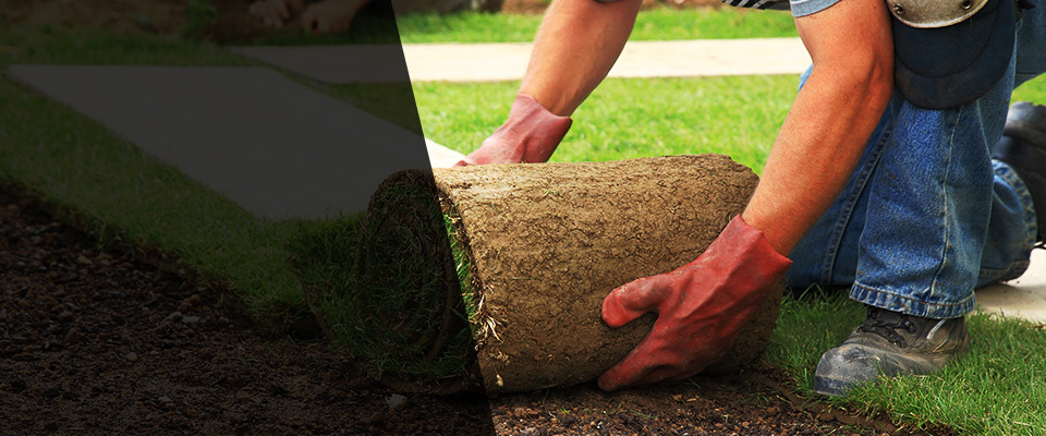 Portsmouth Landscapers